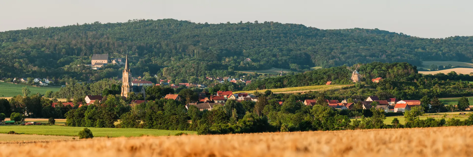 Altenbeichlingen mit Kirche und Schloss hinter einem reifen Getreidefeld im Abendlicht
