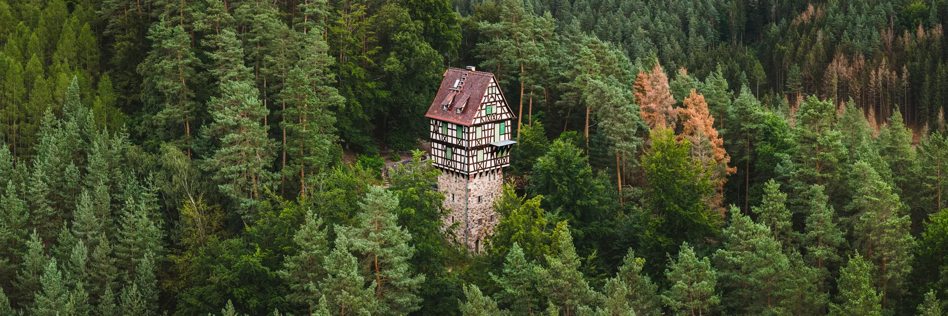 Der Herzogstuhl bei Kahla, ein Fachwerkturm im herbstlich gefärbten Wald