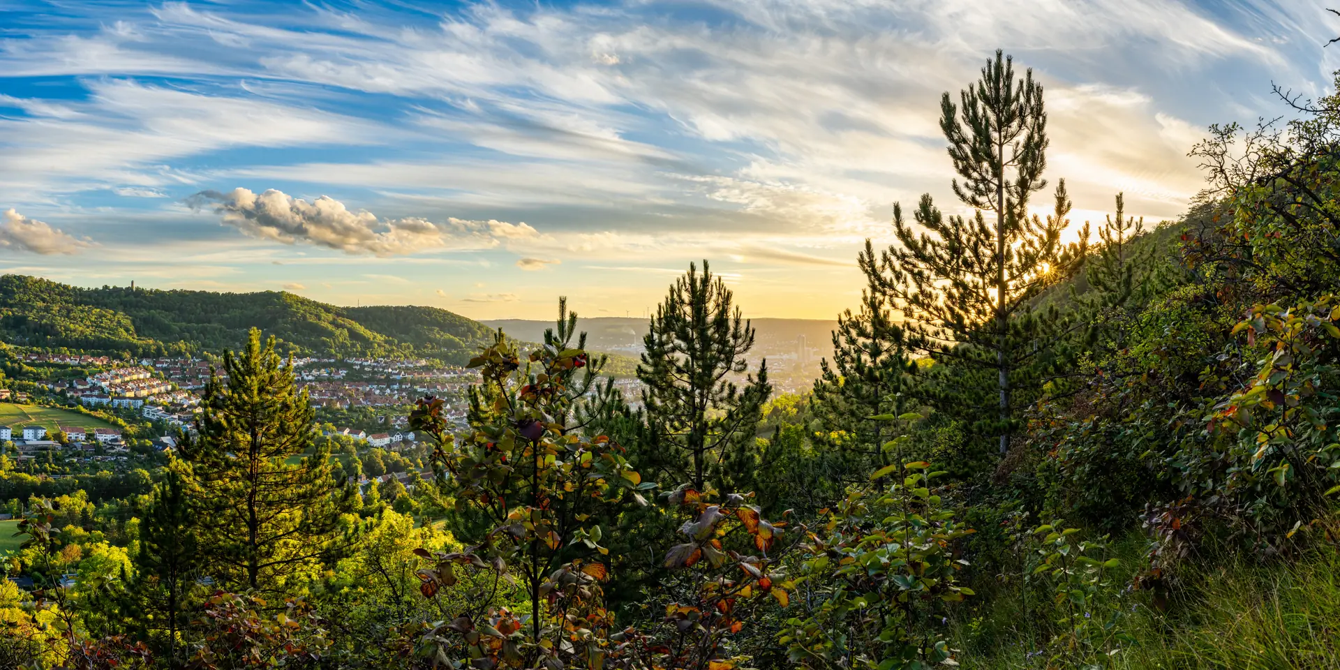 Blick vom bewaldeten Jenzig über Jena im warmen Abendlicht