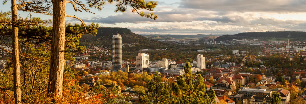 Jena im Herbst, Blick zwischen Kiefern hindurch auf die Stadt im goldenen Licht